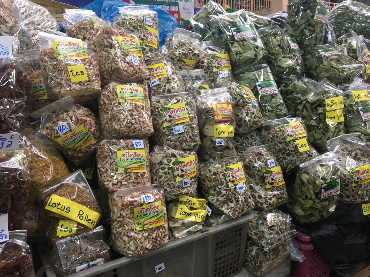Moringa seeds for sale in Thailand