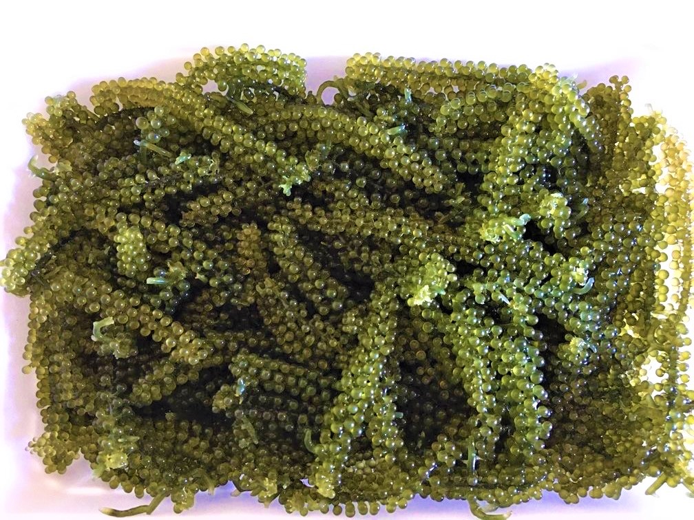 green caviar 3
