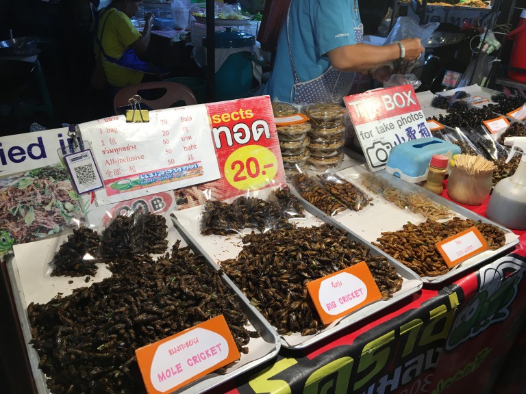 Insect snacks